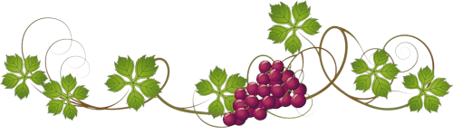 décoration raisin