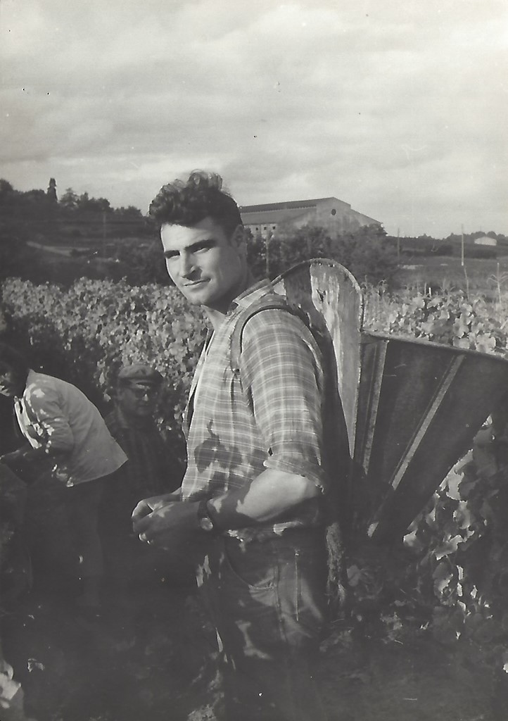 Vendanges au Château de Garonneau